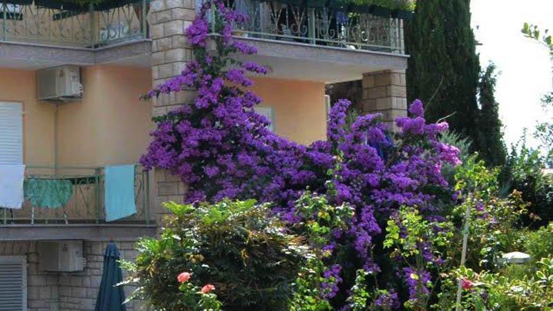 Villa Bencun Medulin Exterior photo